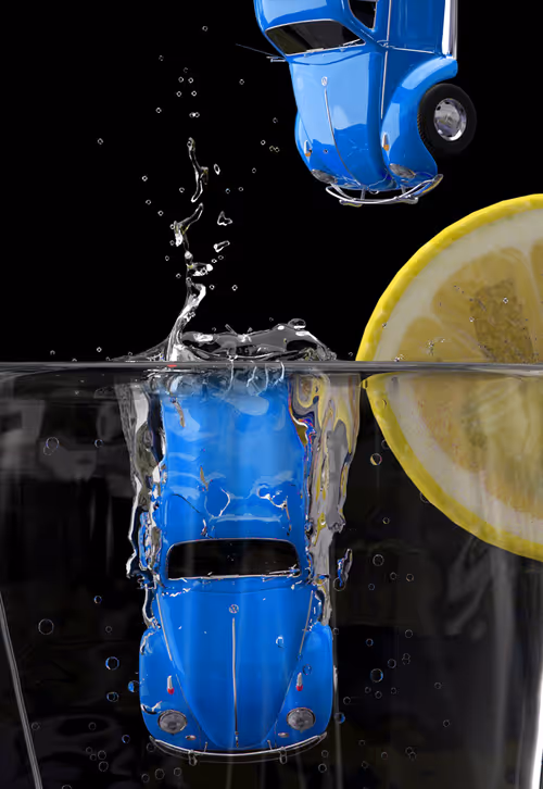 Item #738390487730484794651247287827386130693785396376527086491251589138178113537 Media