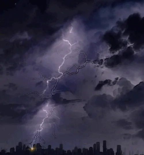 Item #98947572418512167548916596881804276216918343098038041002170731481564056649729 Media