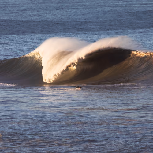 Mavericks