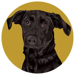 54766349128176429303044182404049584425310907481653304317570413924335262629889