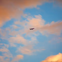 They love to fly