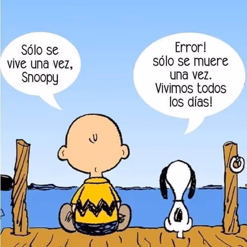 Untitled Collection #271576739