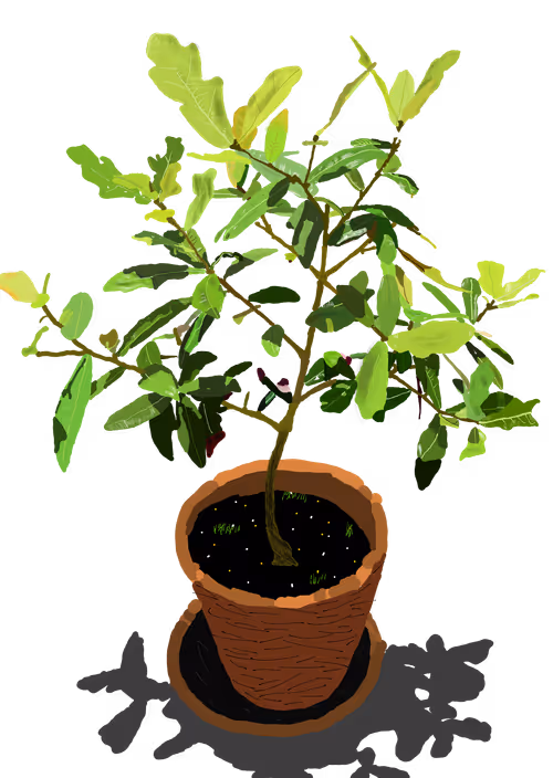 Item #16856792038433310560442353969730674754691862844441676398277363908026191314945 Media