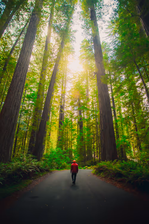 Item #28249669150142615207579555762608265536132247185199409993543532460764808871937 Media