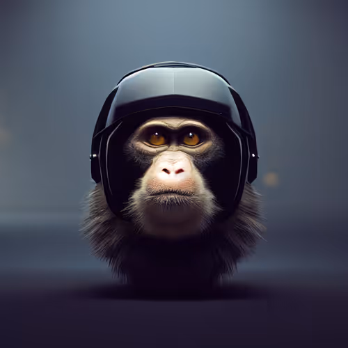 Item #61113754682338237329218241278723179285624197842437990369907456652136635432961 Media