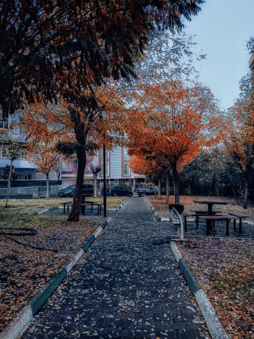 Item #75869817590340460685317939374360076253263101056567316776239183283242468900865 Media