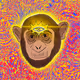 99658256146987375673306058357748678711767835893403400214678461115860265205761