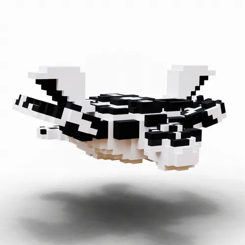 Item #57121455940778692666752813820486508012927358343892899825494935075454915182593 Media