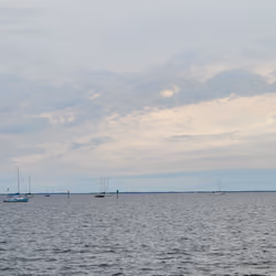 Sailboats. Punta Gorda, Florida.