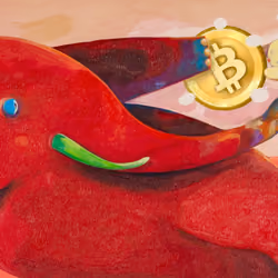 Born BTC
