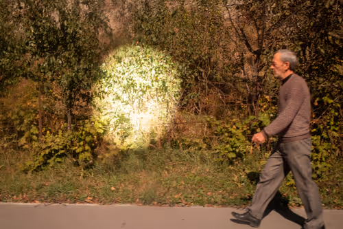 Item #8293050977498067439738640211663030445621008093446820664285480994315505238017 Media