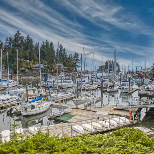 Rustyfyfe Collection