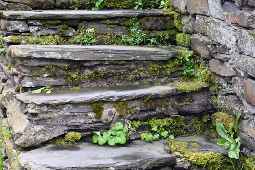 Item #916077490281078954391891268022086119289121145792755899354399177137729830913 Media