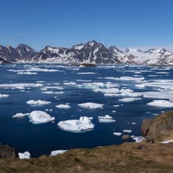 Icebergs on Ocean