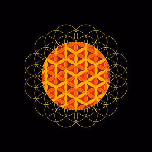 Untitled Collection #168346886