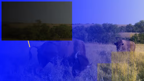 Item #105089968166921690156624725616502706642431777719922472152070405744752523739137 Media