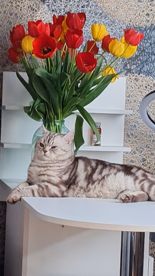 Item #86905873126955002479627001740615612203296733908916306944010109159381095415809 Media