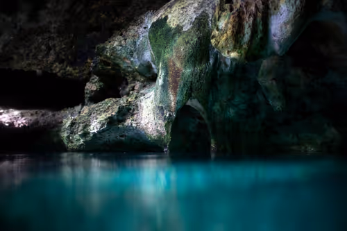 Item #25422583313571458459737529461820134862175223810011730482418987915646932615169 Media