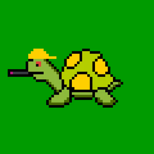 Tiny Turtle #1074
