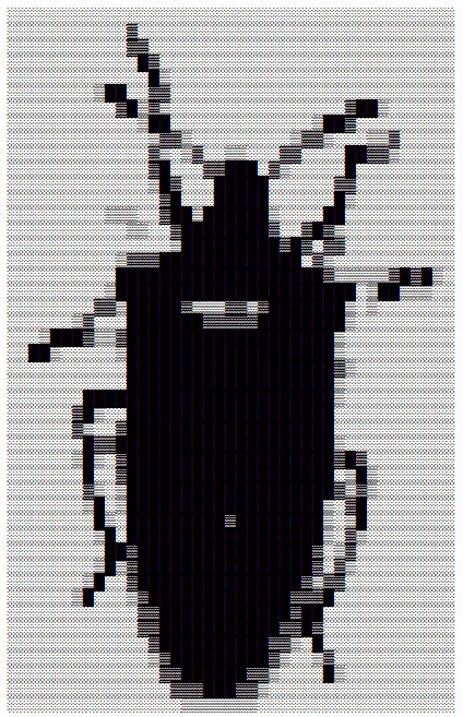 Item #16613565762019836430819417590944981045784349332339448930679906044028347482113 Media