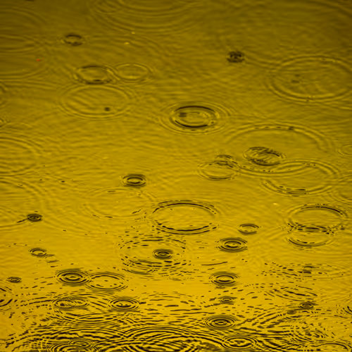 Item #110563264937173630415102547684714144673786021135482478862181301887813162106881 Media