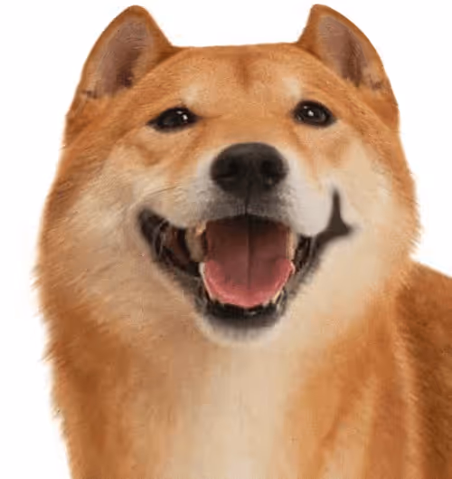 Item #34470142884482375674331152583341387110725961593908059002011227371827036684388 Media