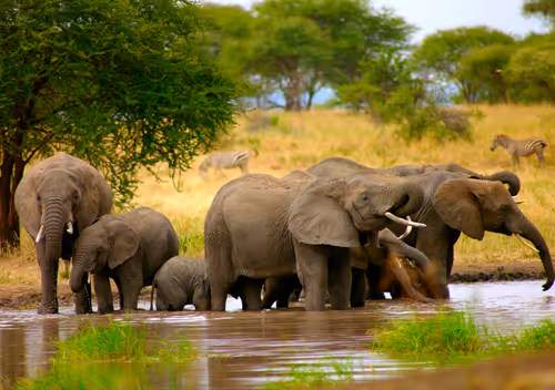 Item #97390858549290517915673057044451120522321858296040786888435299469394026954753 Media