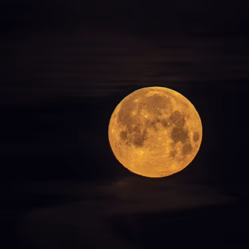 Item #100497195435024618235780896115705786144749628063302186406634901617977208078339 Media