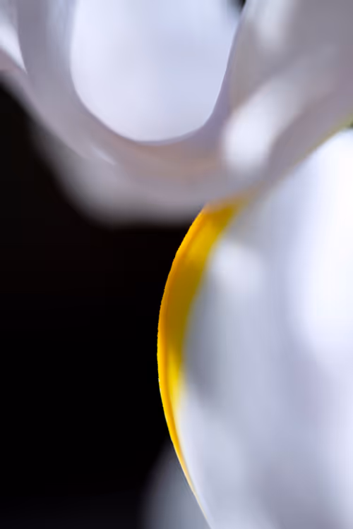 Item #24632583837492670092599633934589483131746797002802219579488358139337008742401 Media