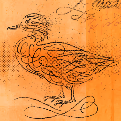 12520096913277121545232673772747947087596815365110293900319642821534114906113