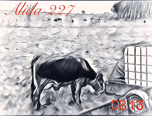 Item #106168068867162485094593885732241547229015412580842941571810197393312250331137 Media