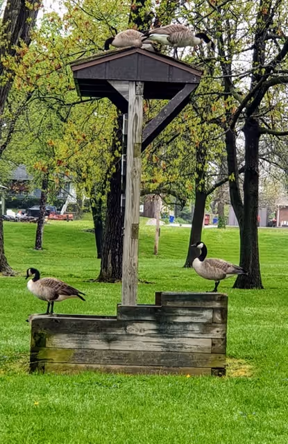 Item #110534027555100073449800383063776776852092282541871866925712019246400478904321 Media