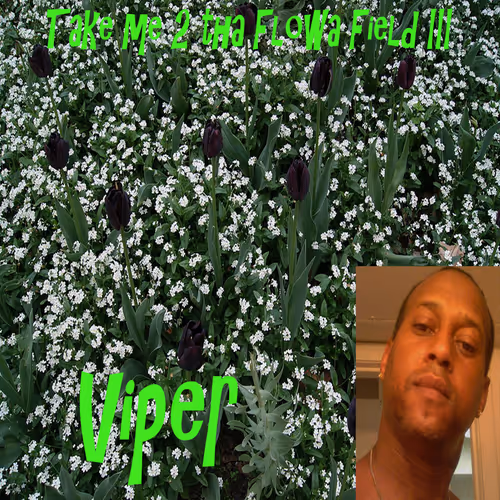 Item #95723720108442647538982830787710363482316566461566708661814873850397350428673 Media