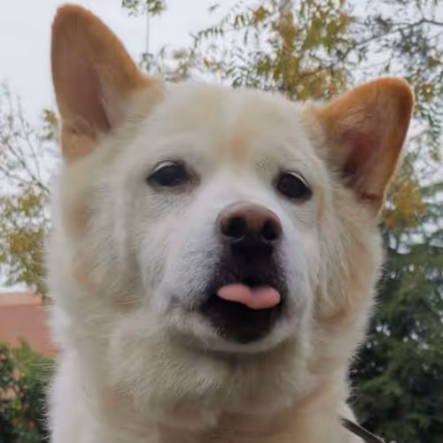 wilson104 Collection