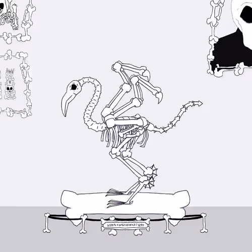 MUSEUM CRYPTO NATTORS