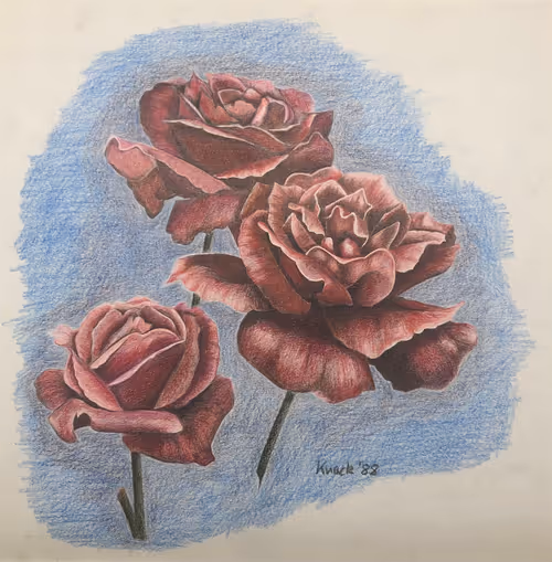 Item #39573233079813845915689119293451947092552693805213889486540100611188992245761 Media