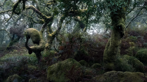 Item #72639390708267126639436568569652760193401123475841185469851730344514701754369 Media