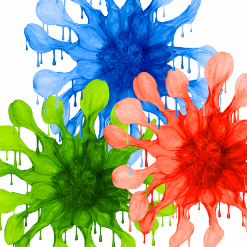African Daisy TriColor Drip