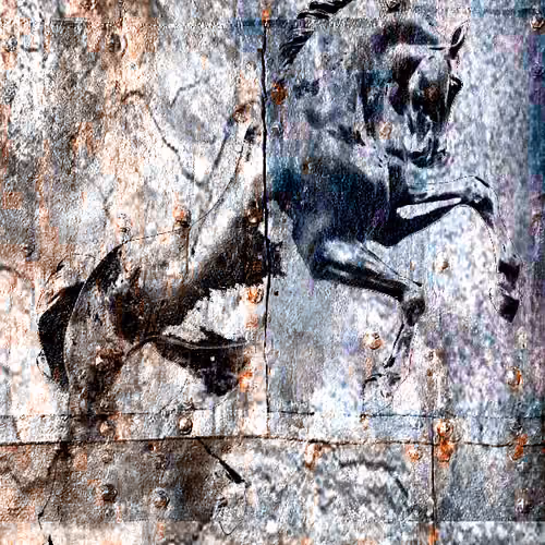 HORSE POWER