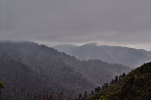 Item #78759855267669757072701224294171613718946034008137005967382106867573784051722 Media