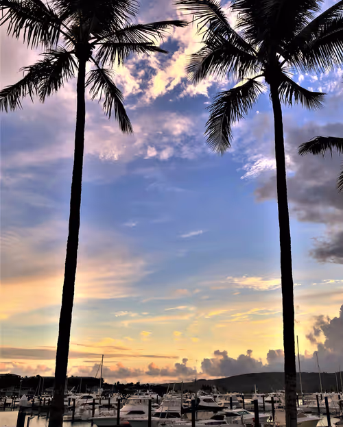 Item #60286361363657250857601775030637471218171117852543341295073303949179822800897 Media