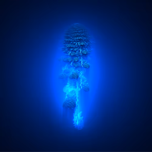 32743829147090406476748964372018441822878167565379928497510406800589006569473