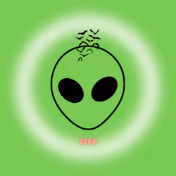 THE ? ZEFN