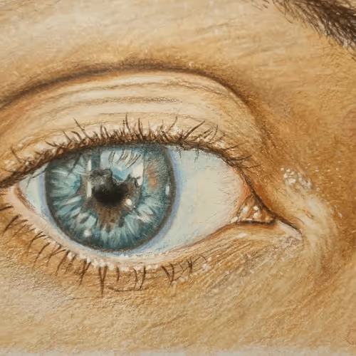 Scouse_Mouse Collection