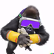95560929656620222463680363209073245917778991963760186210087673664336245555201