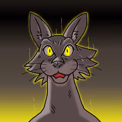 feline #24