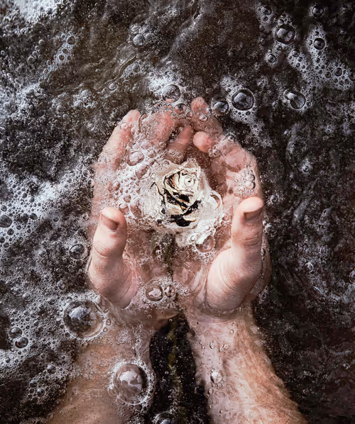 Item #97255366407001210161876925537189396486612170582881870856049407192446902730753 Media