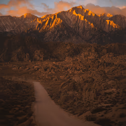 John Wingfield Editions