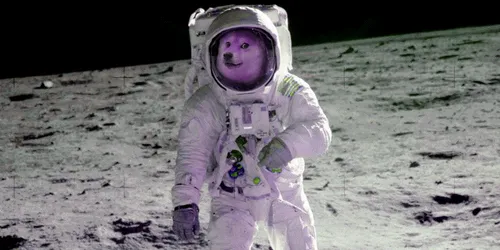 Item #35416579311940555386877027106883133557986698249173124823505168666170652360705 Media