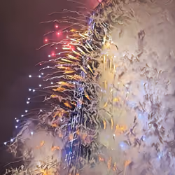 Taipei 101 NewYear Firework